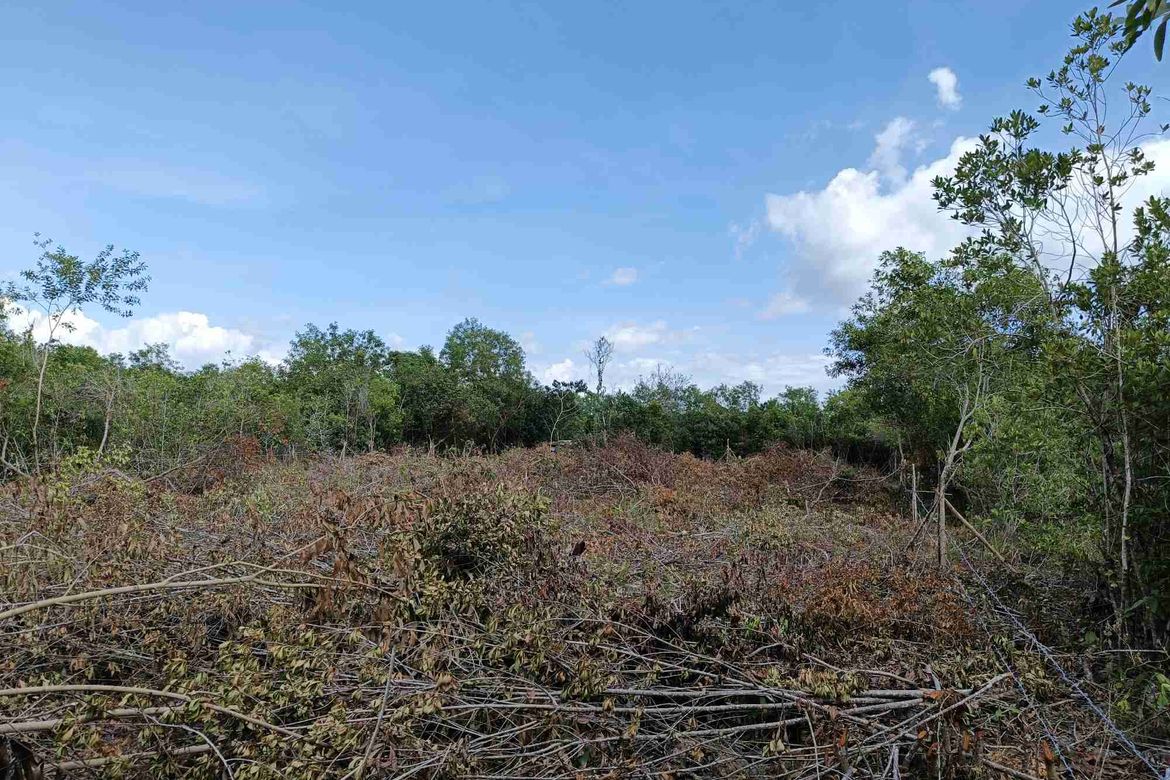 Land for Sale in Tawala, Panglao, Bohol – photo 6