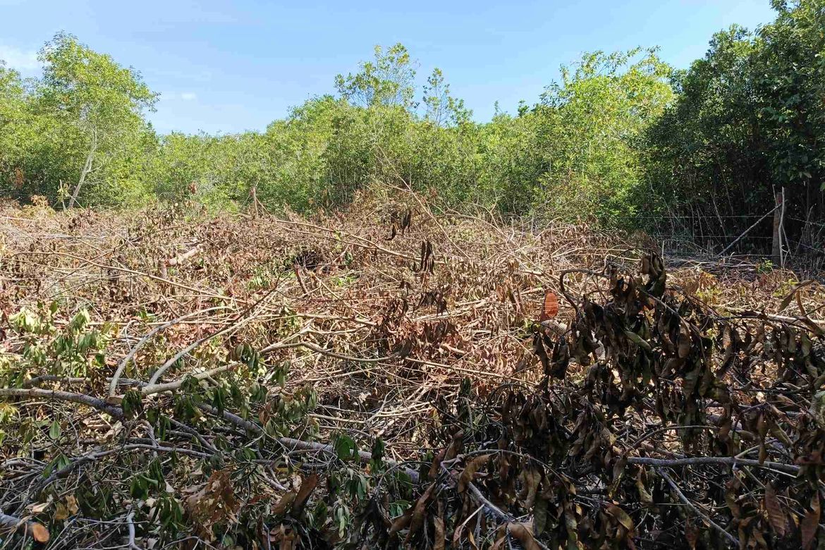 Land for Sale in Tawala, Panglao, Bohol – photo 7