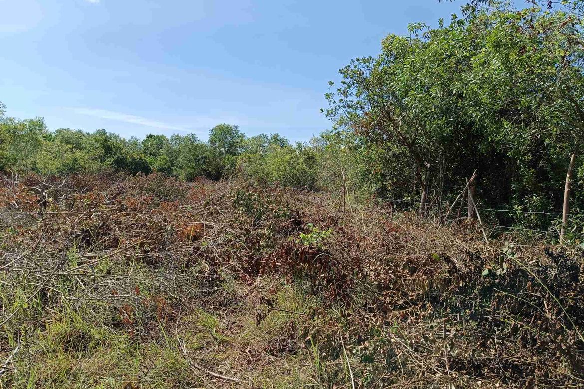 Land for Sale in Tawala, Panglao, Bohol – photo 8