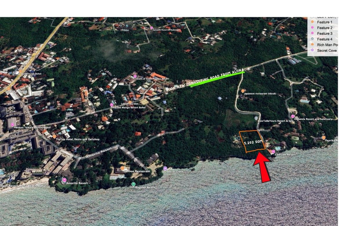 Land for Sale in Tawala, Panglao, Bohol – photo 3