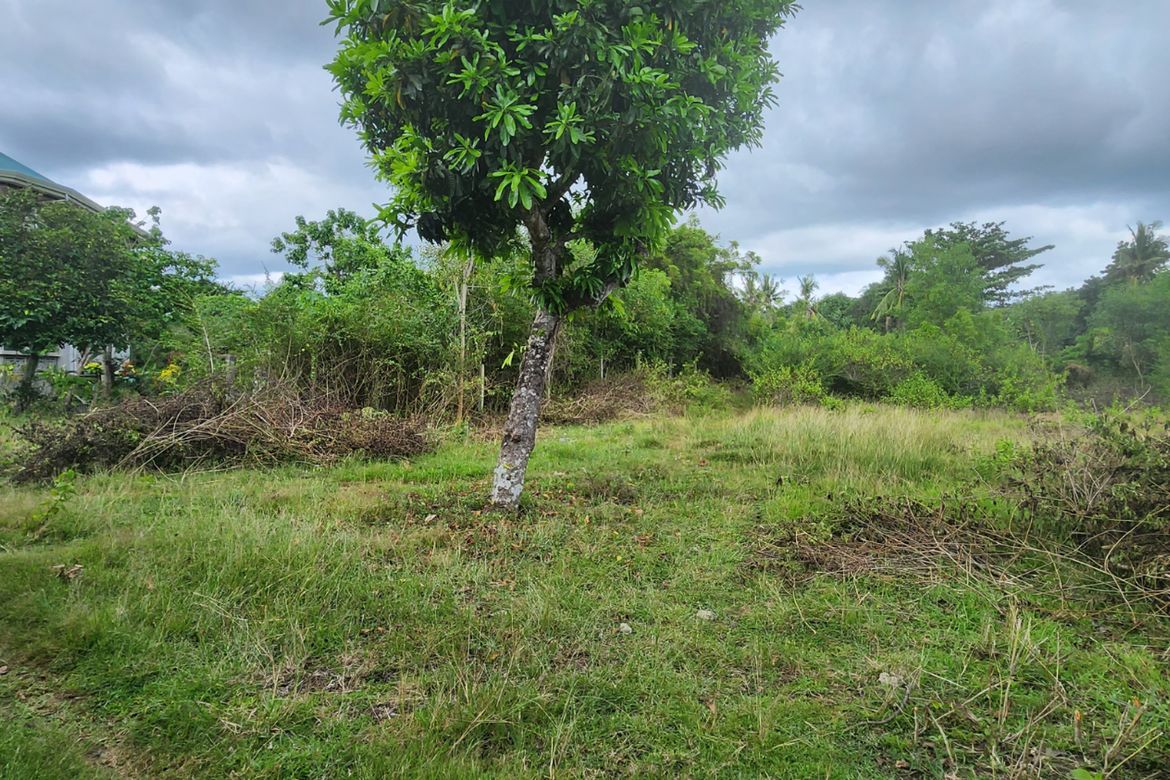 Land for Sale in Tawala, Panglao, Bohol – photo 5
