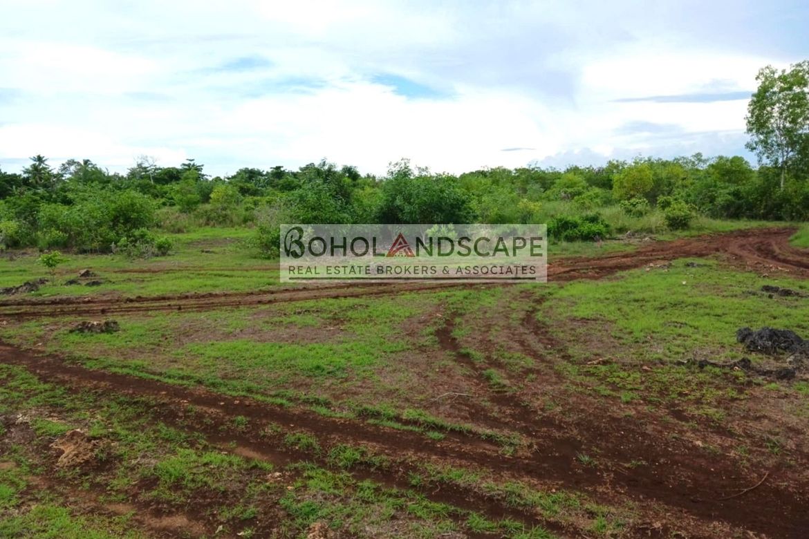 Land for Sale in Tawala, Panglao, Bohol