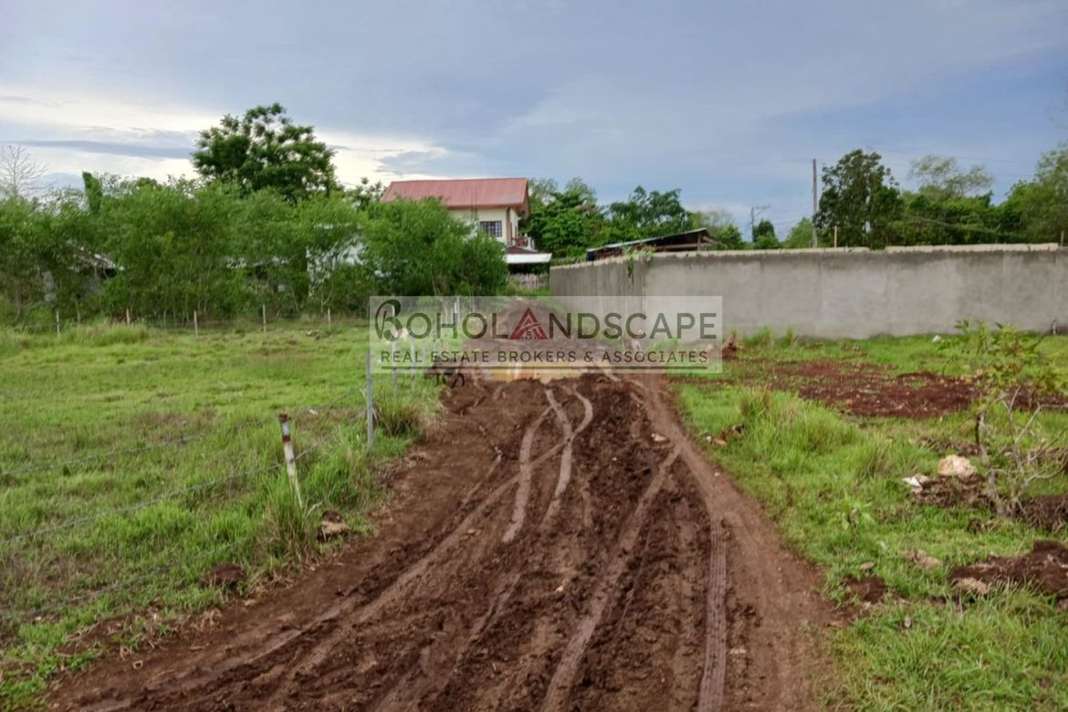 Land for Sale in Tawala, Panglao, Bohol – photo 3