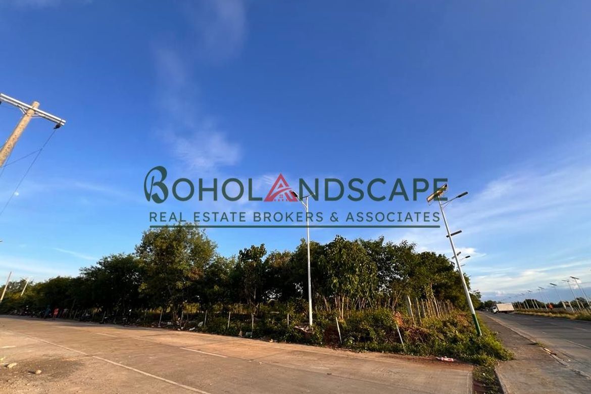 Land for Sale in Tawala, Panglao, Bohol – photo 4