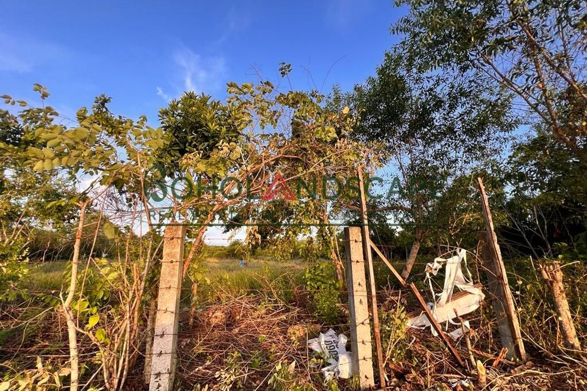 Land for Sale in Tawala, Panglao, Bohol – photo 6