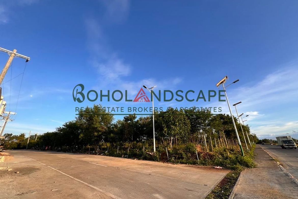 Land for Sale in Tawala, Panglao, Bohol – photo 7