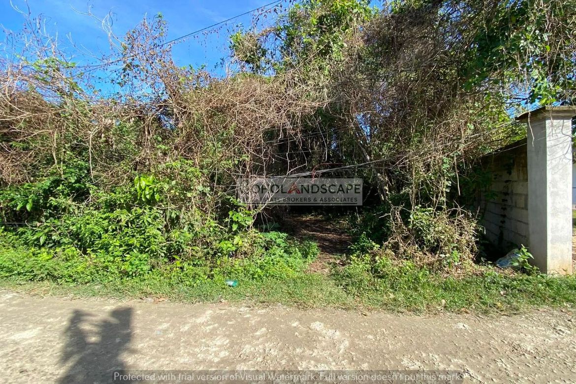 Land for Sale in Tawala, Panglao, Bohol – photo 3