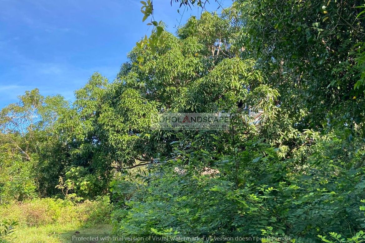 Land for Sale in Tawala, Panglao, Bohol – photo 7