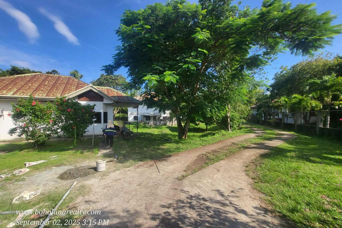 Land for Sale in Tawala, Panglao, Bohol – photo 7