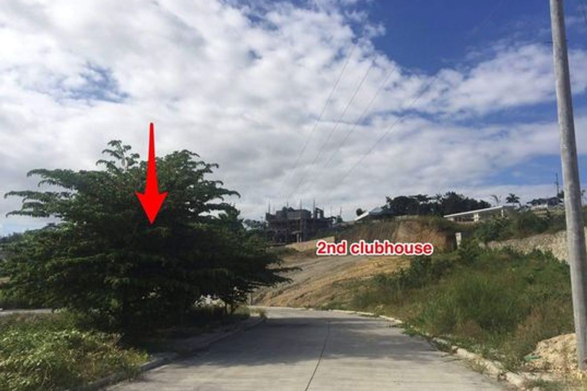 Land for Sale in Tawason, Mandaue, Cebu – photo 2