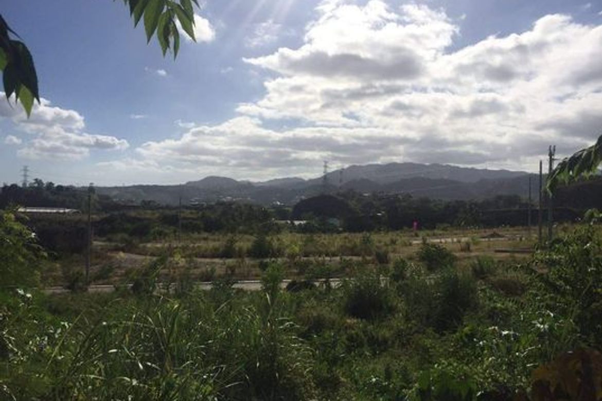Land for Sale in Tawason, Mandaue, Cebu – photo 3