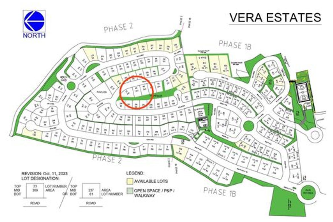 Land for Sale in Tawason, Mandaue, Cebu – photo 4