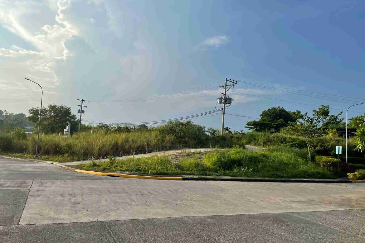 Land for Sale in Tawason, Mandaue, Cebu – photo 4