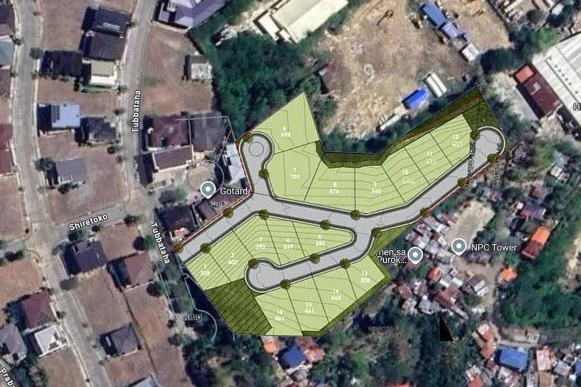 Land for Sale in Tawason, Mandaue, Cebu – photo 2