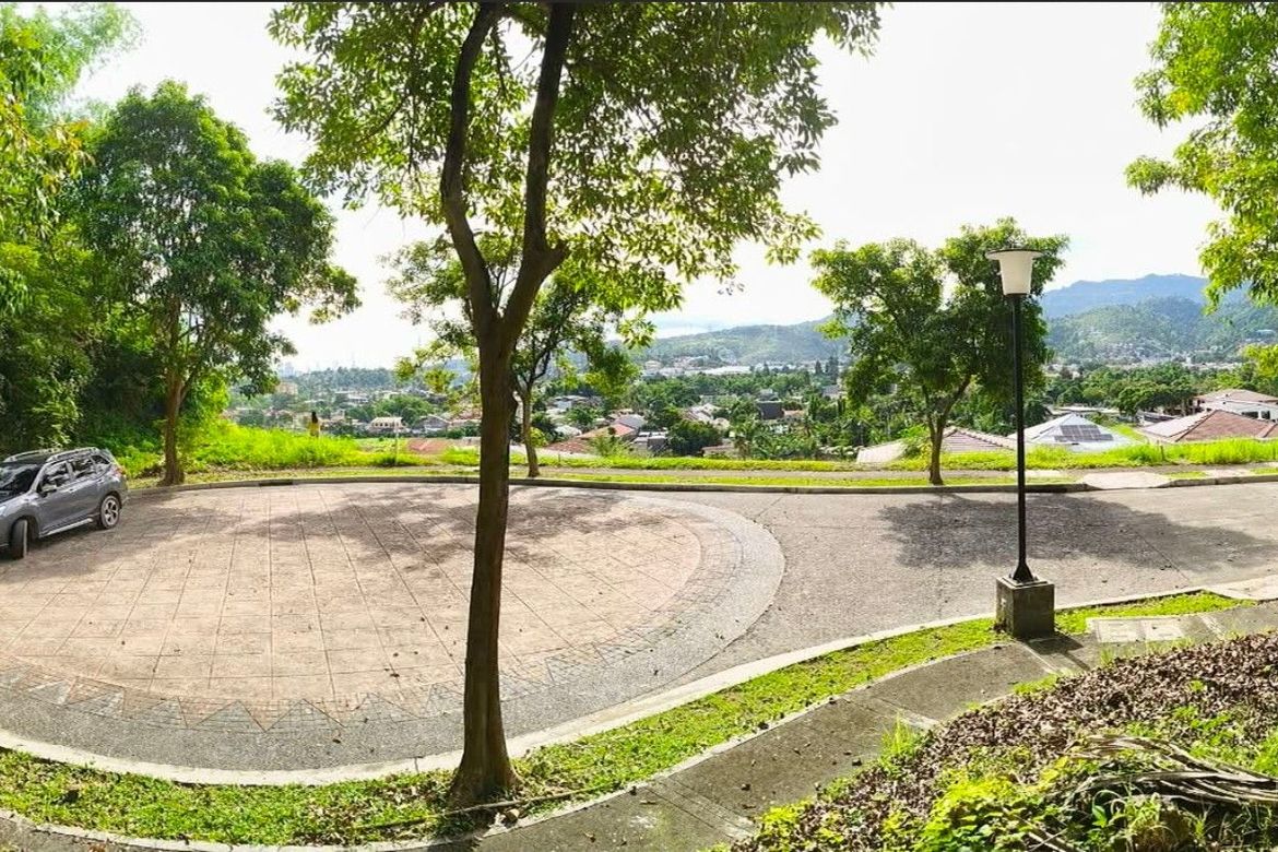Land for Sale in Tawason, Mandaue, Cebu – photo 4