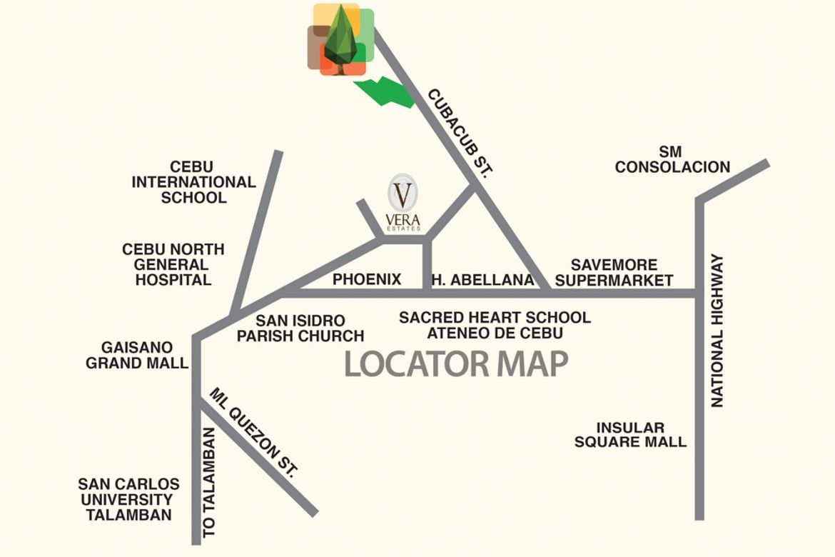 Land for Sale in Tawason, Mandaue, Cebu – photo 6
