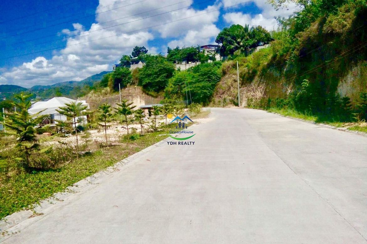 Land for Sale in Tawason, Mandaue, Cebu – photo 2