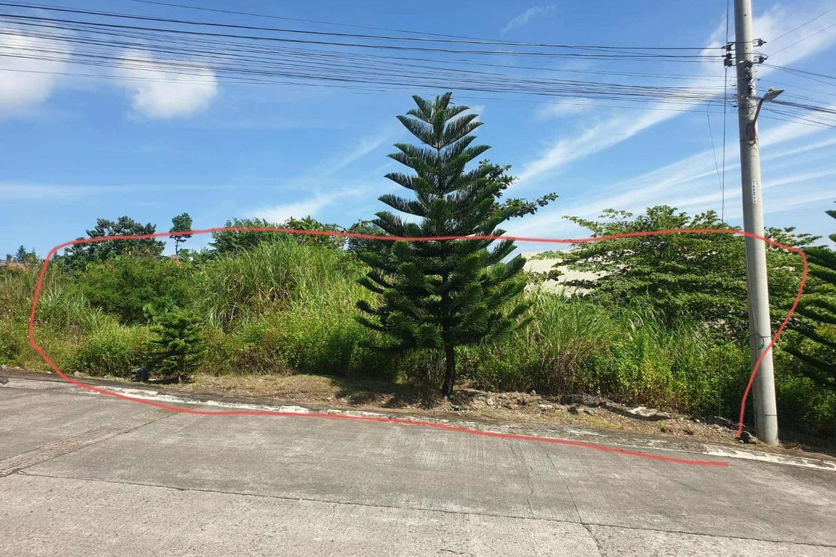 Land for Sale in Tawason, Mandaue, Cebu – photo 3