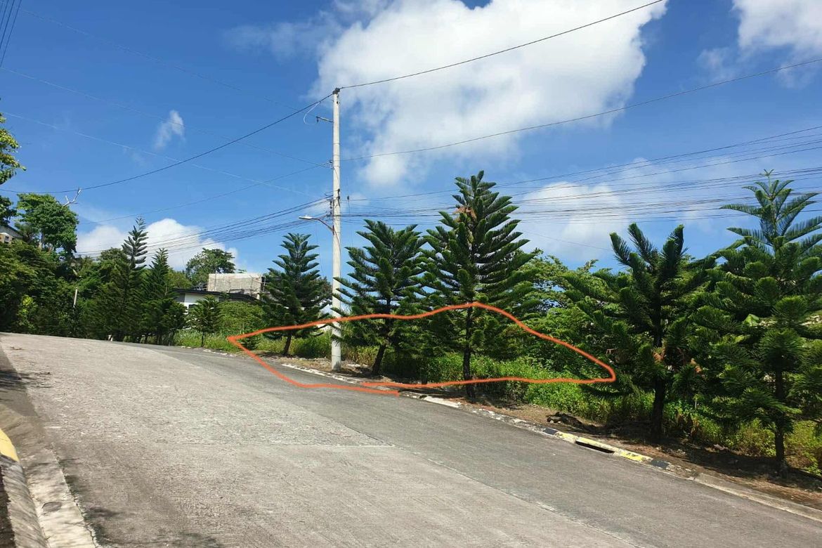 Land for Sale in Tawason, Mandaue, Cebu – photo 5