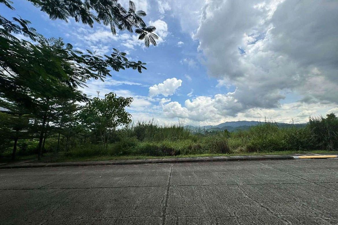 Land for Sale in Tawason, Mandaue, Cebu – photo 4