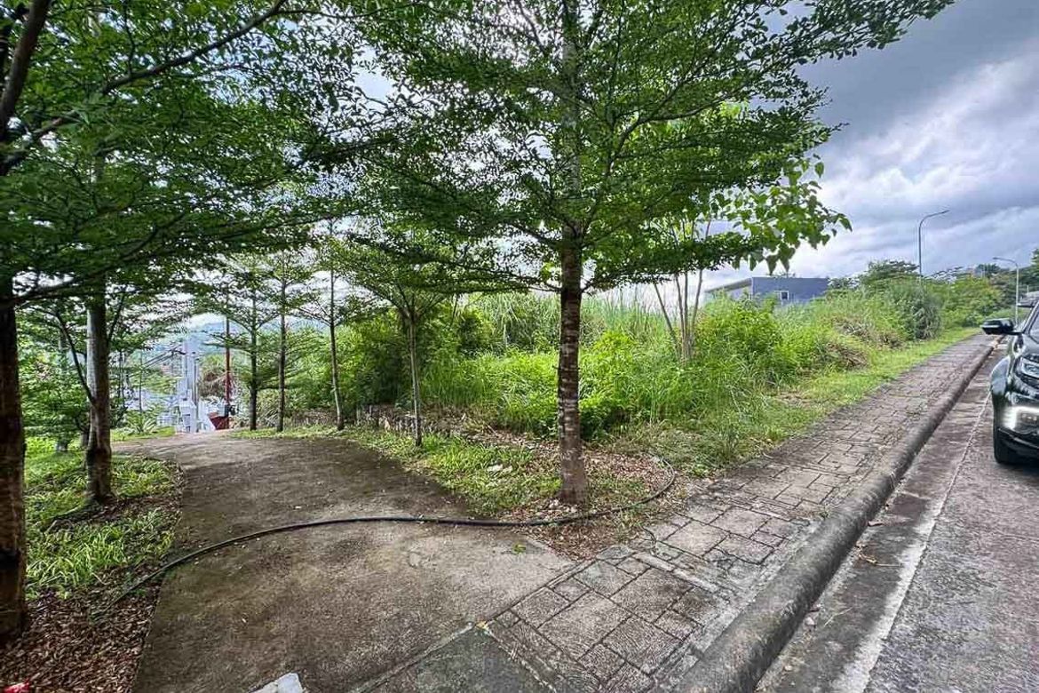 Land for Sale in Tawason, Mandaue, Cebu – photo 8