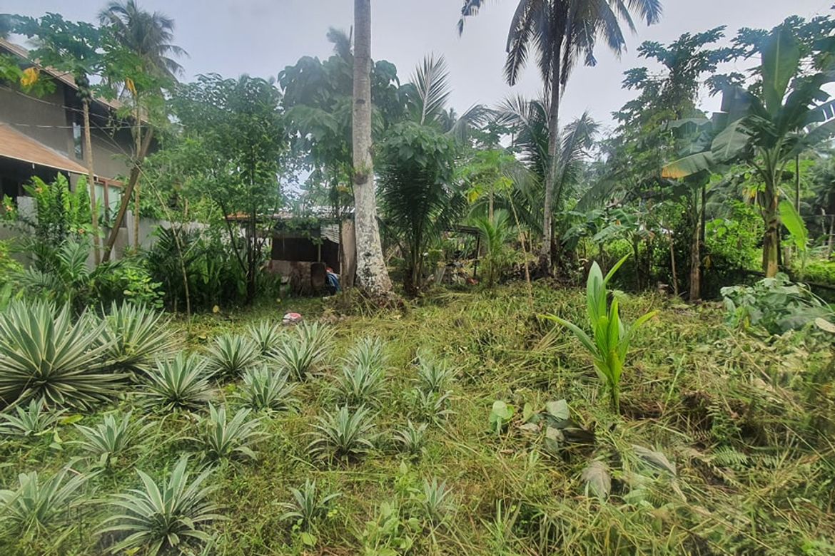 Land for Sale in Tawin-Tawin, General Luna, Surigao del Norte – photo 7