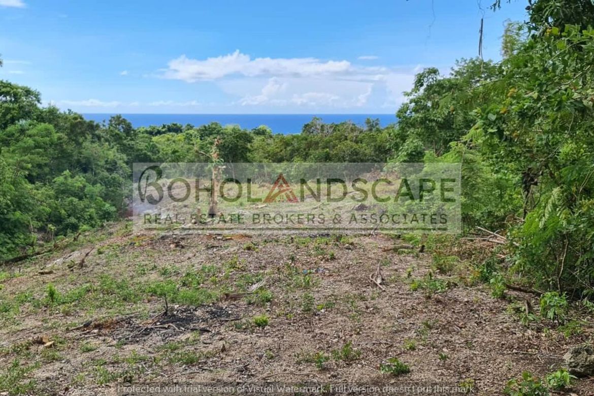 Land for Sale in Tayong Occidental, Loay, Bohol