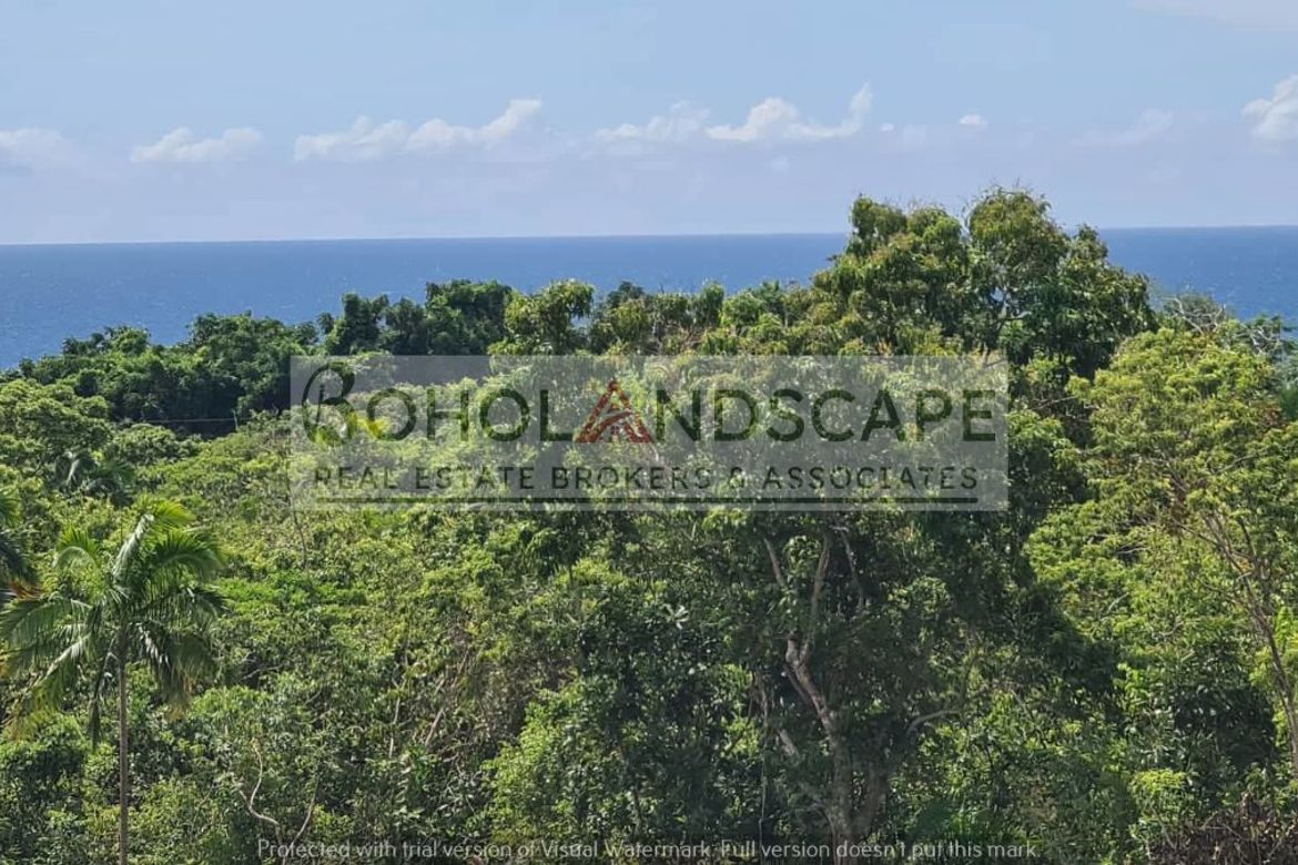 Land for Sale in Tayong Occidental, Loay, Bohol – photo 4