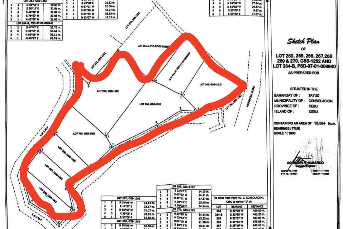 Land for Sale in Tayud, Consolacion, Cebu – photo 4
