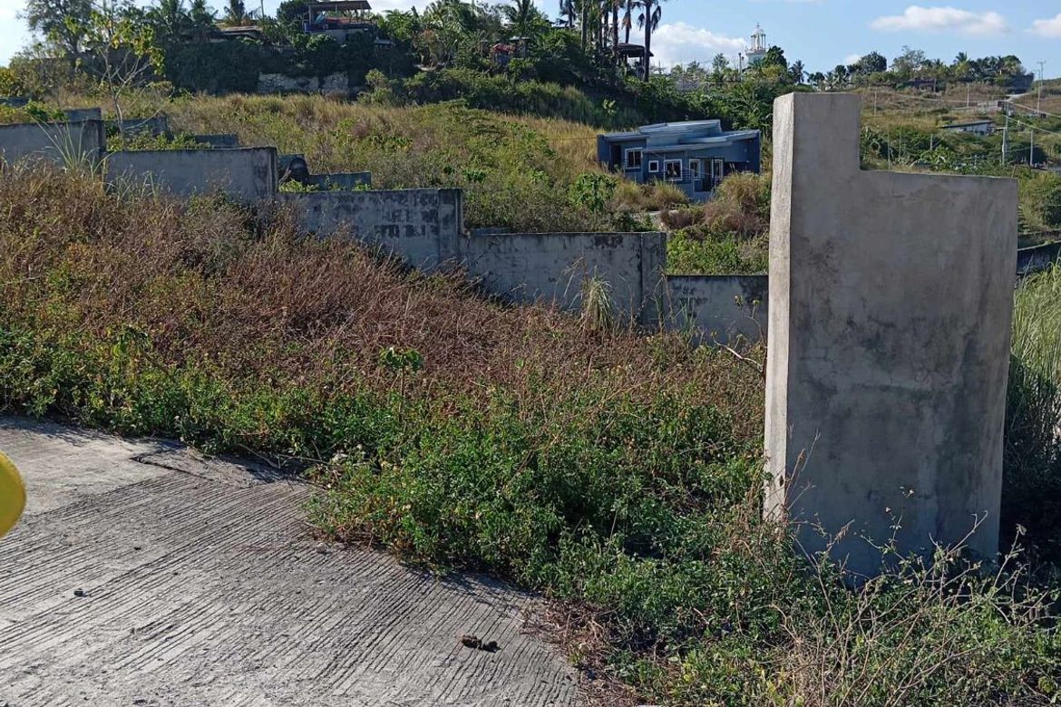 Land for Sale in Tayud, Consolacion, Cebu – photo 2