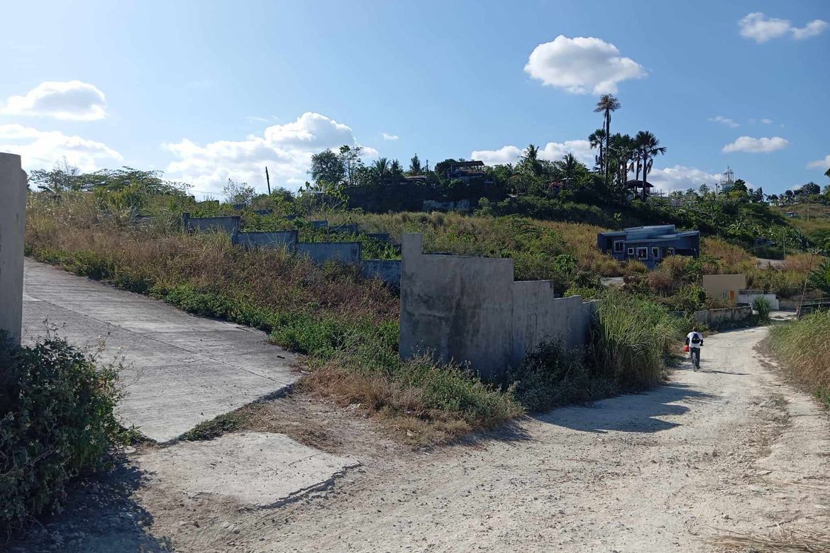 Land for Sale in Tayud, Consolacion, Cebu – photo 3