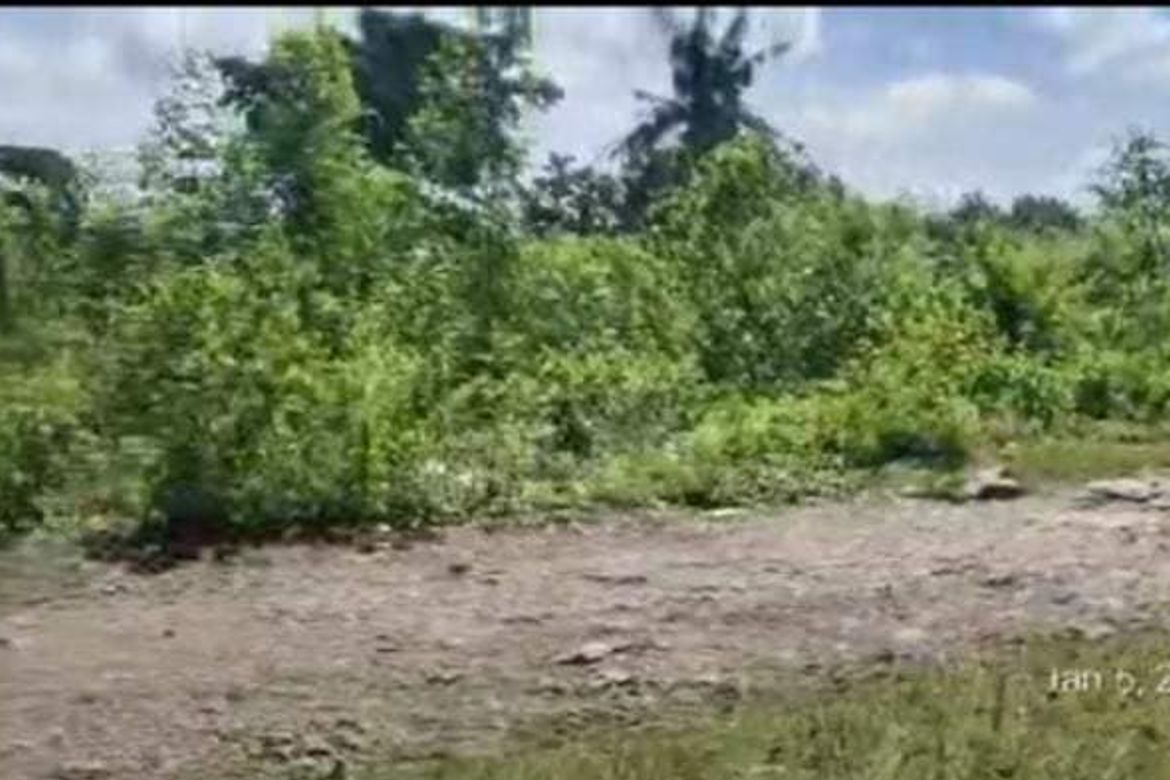 Land for Sale in Tayud, Consolacion, Cebu – photo 2