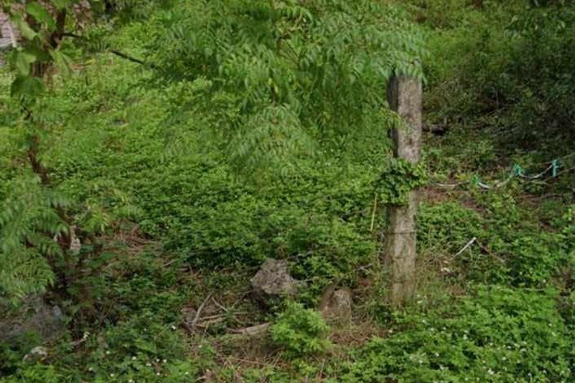 Land for Sale in Tayud, Consolacion, Cebu – photo 8