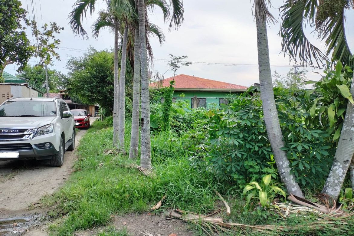 Land for Sale in Tayud, Liloan, Cebu – photo 4