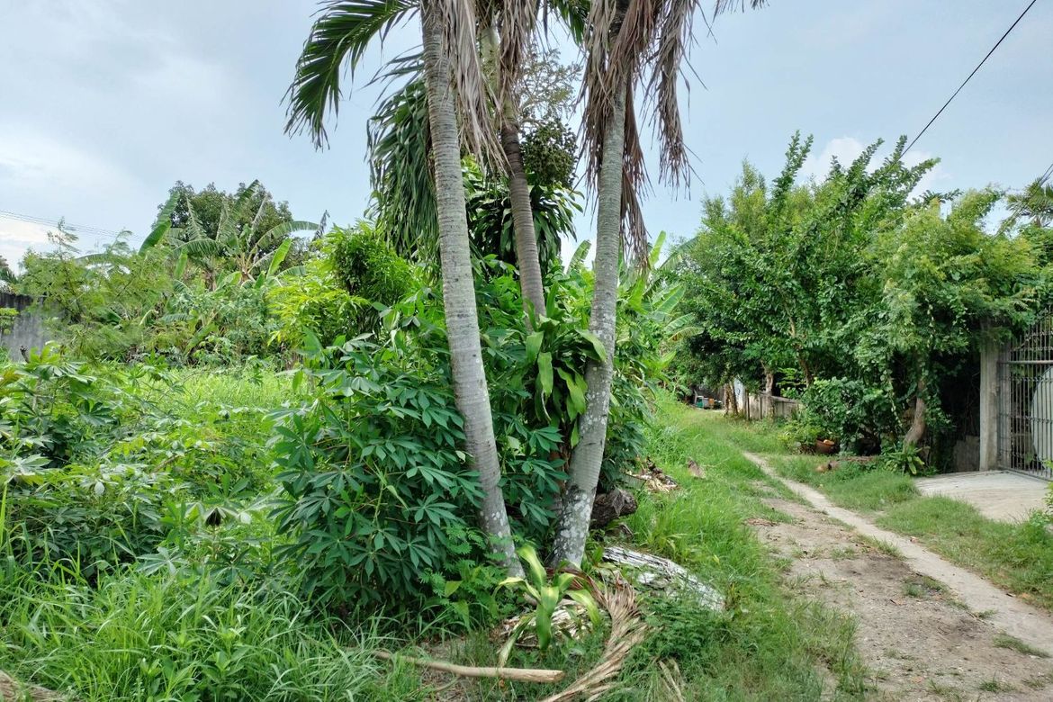 Land for Sale in Tayud, Liloan, Cebu – photo 5