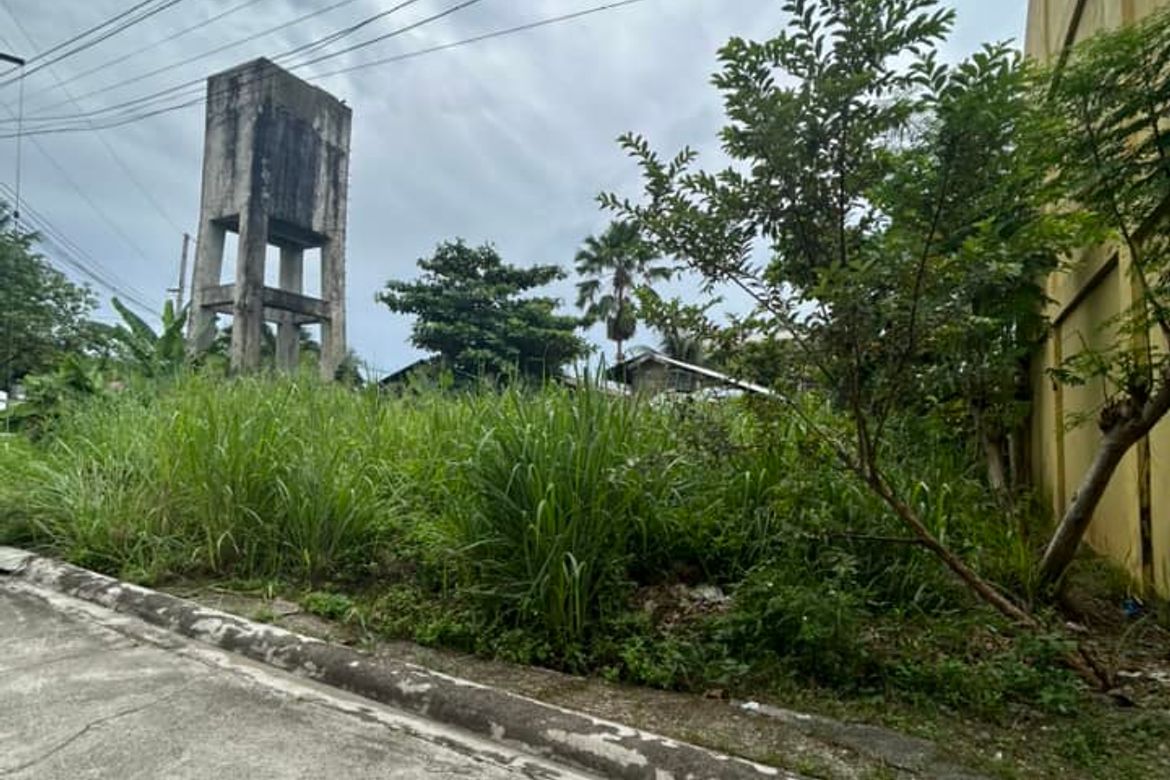 Land for Sale in Tayud, Liloan, Cebu – photo 2