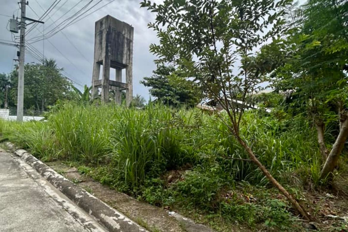 Land for Sale in Tayud, Liloan, Cebu – photo 3