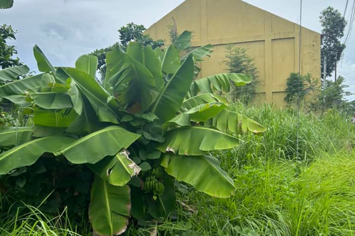 Land for Sale in Tayud, Liloan, Cebu – photo 4