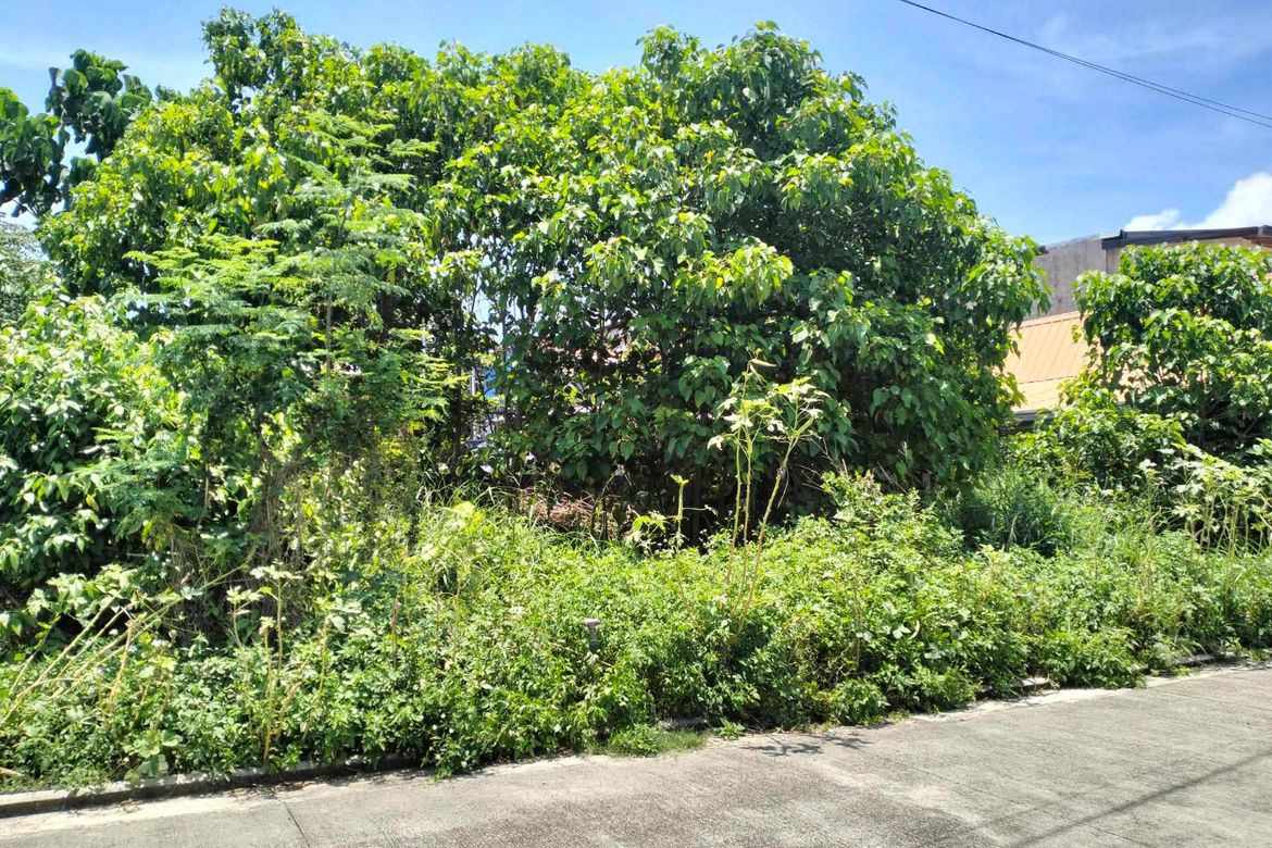 Land for Sale in Tayud, Liloan, Cebu