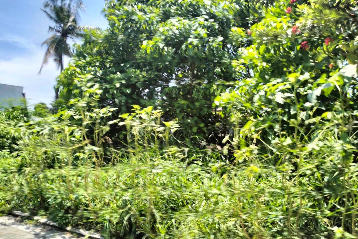 Land for Sale in Tayud, Liloan, Cebu – photo 3