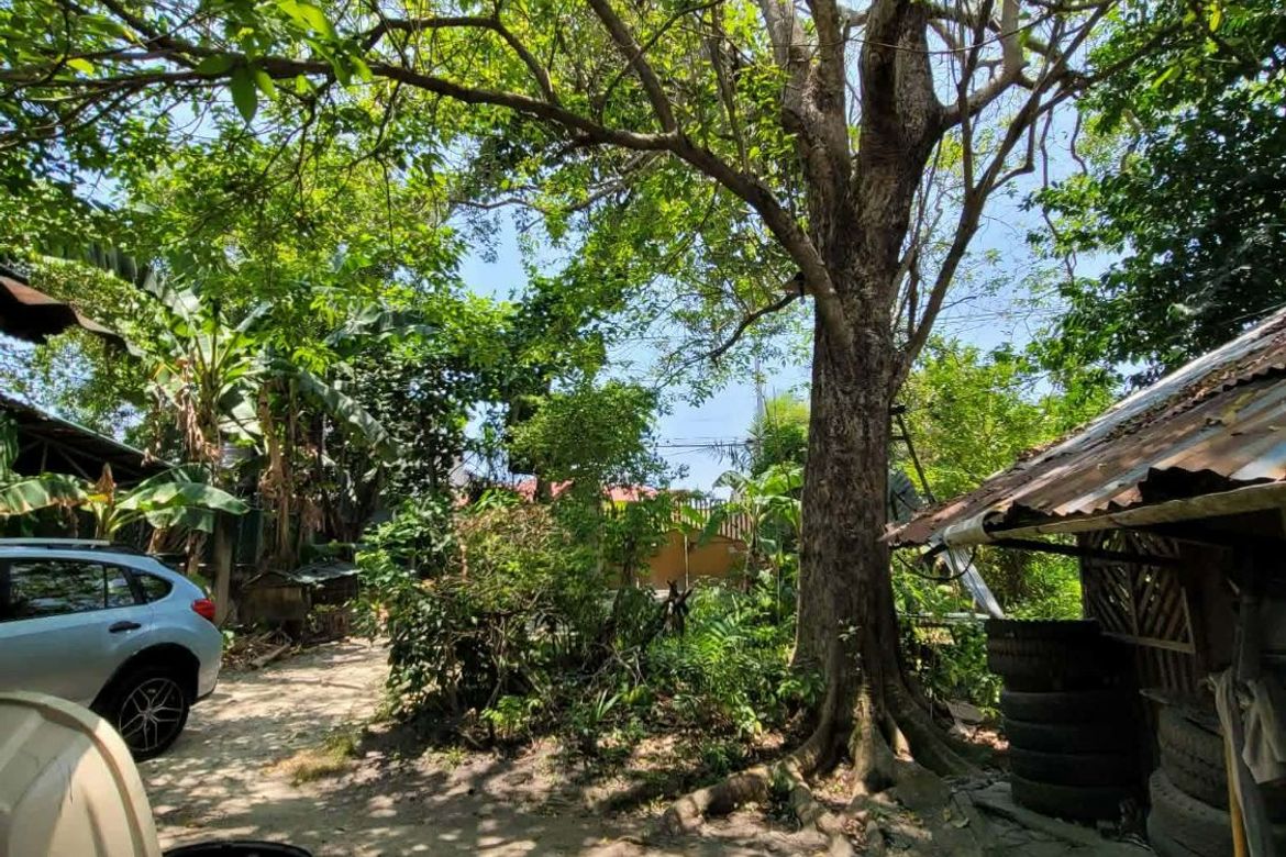 Land for Sale in Tayud, Liloan, Cebu – photo 4