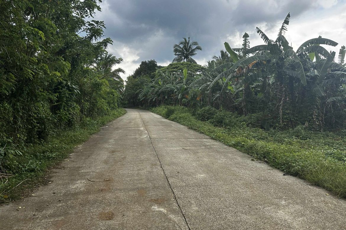 Land for Sale in Taywanak Ilaya, Alfonso, Cavite – photo 4
