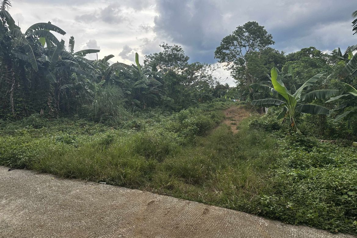 Land for Sale in Taywanak Ilaya, Alfonso, Cavite – photo 5