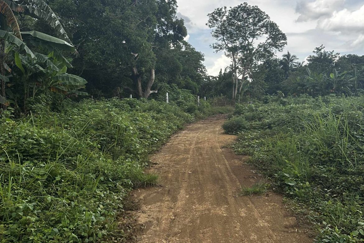 Land for Sale in Taywanak Ilaya, Alfonso, Cavite – photo 6