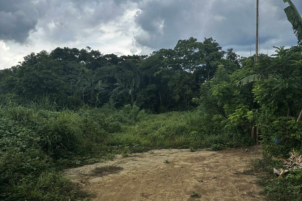 Land for Sale in Taywanak Ilaya, Alfonso, Cavite – photo 7