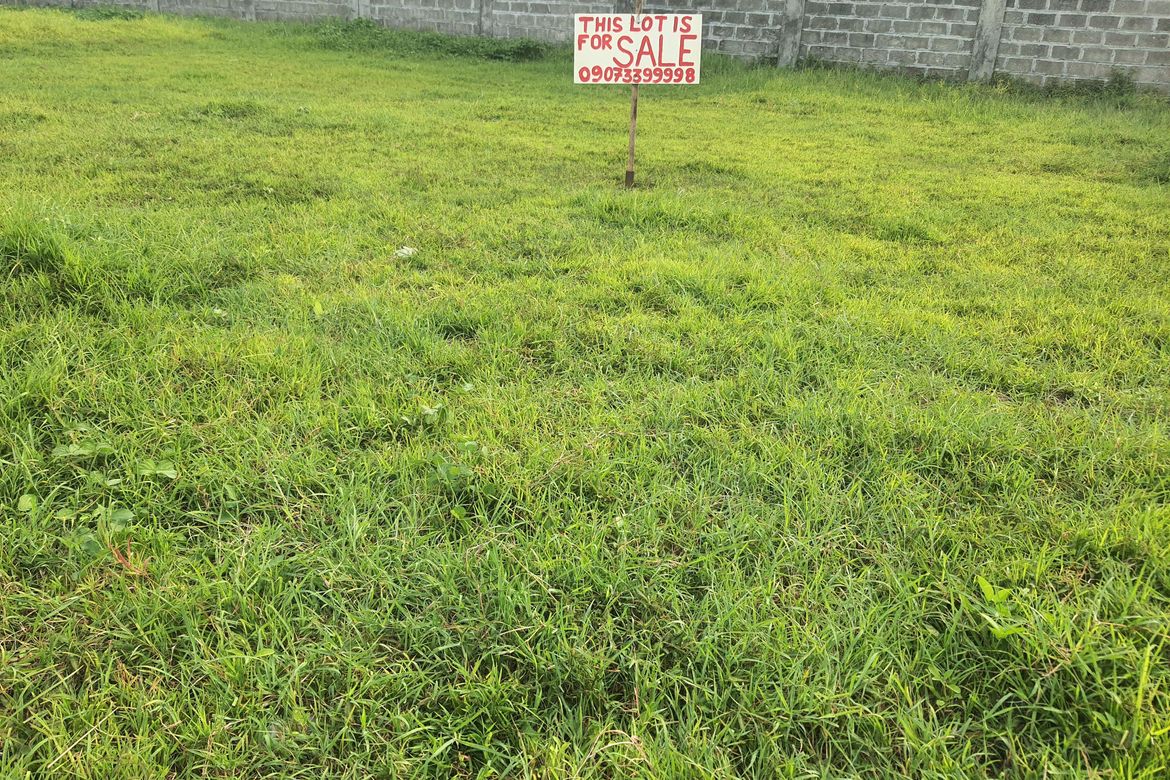 Land for Sale in Tejeros Convention, Rosario, Cavite – photo 2