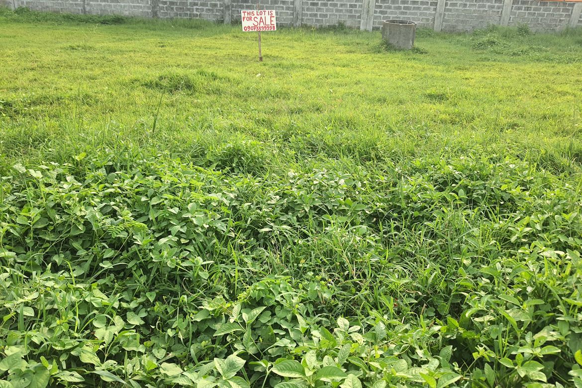 Land for Sale in Tejeros Convention, Rosario, Cavite – photo 4