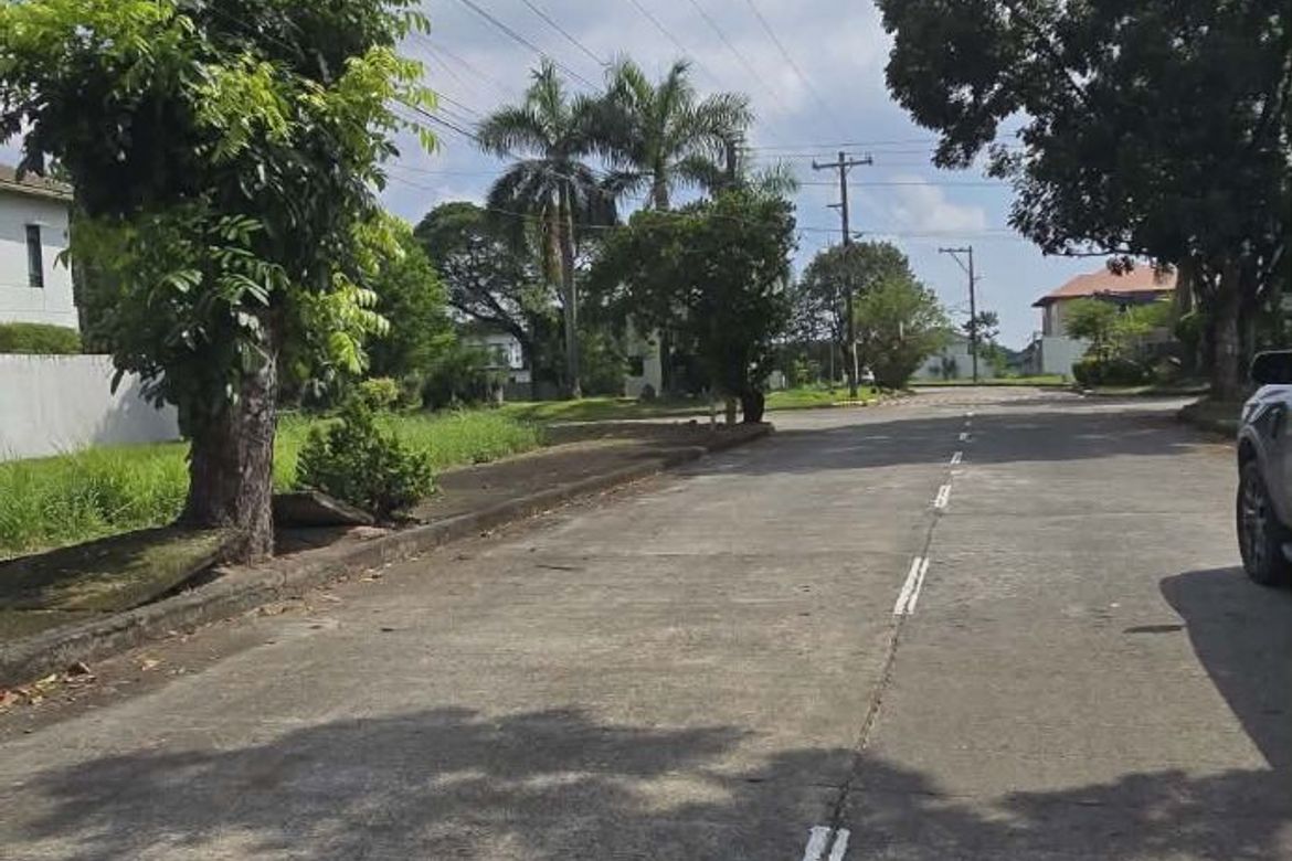 Land for Sale in Telabastagan, San Fernando, Pampanga – photo 3