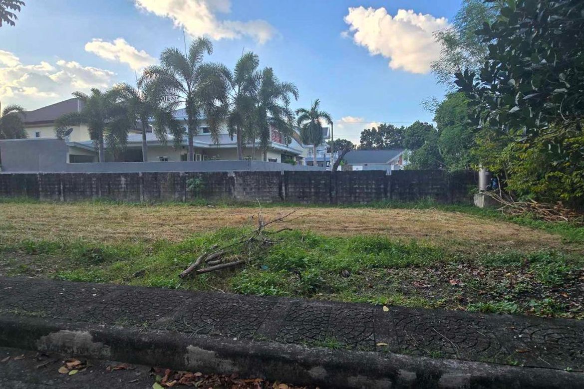 Land for Sale in Telabastagan, San Fernando, Pampanga – photo 3