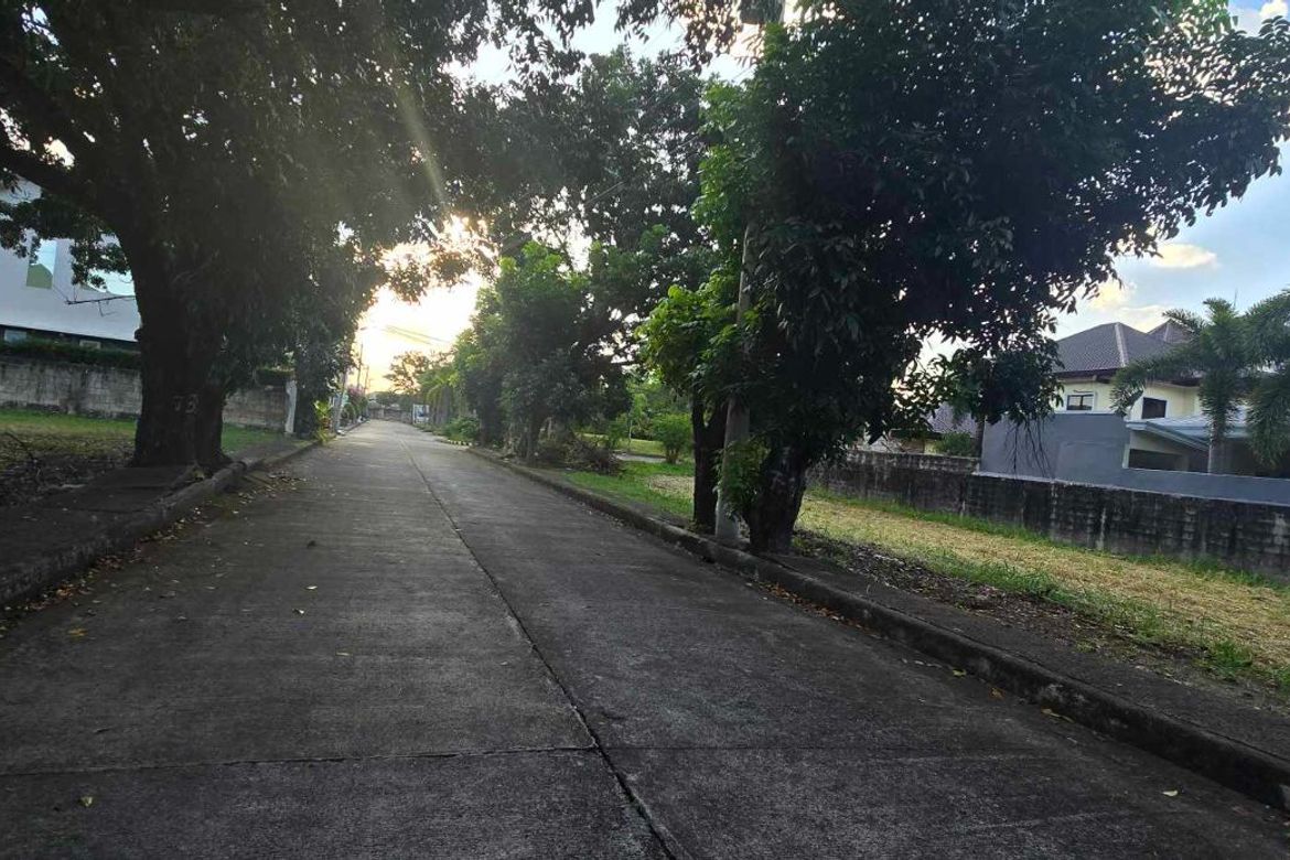 Land for Sale in Telabastagan, San Fernando, Pampanga – photo 4